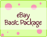 ebay basic store package